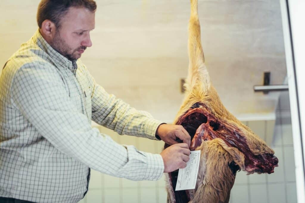Abbaye d'Admont - Forêt Chasse © Stefan Leitner