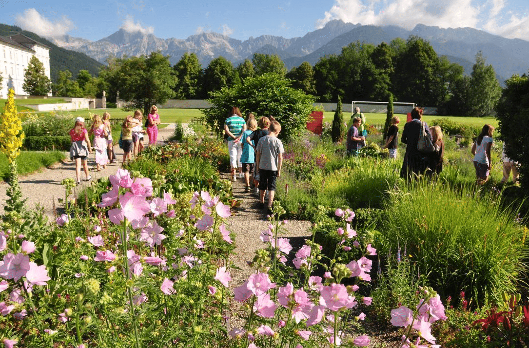 Jardin d'herbes aromatiques 2021