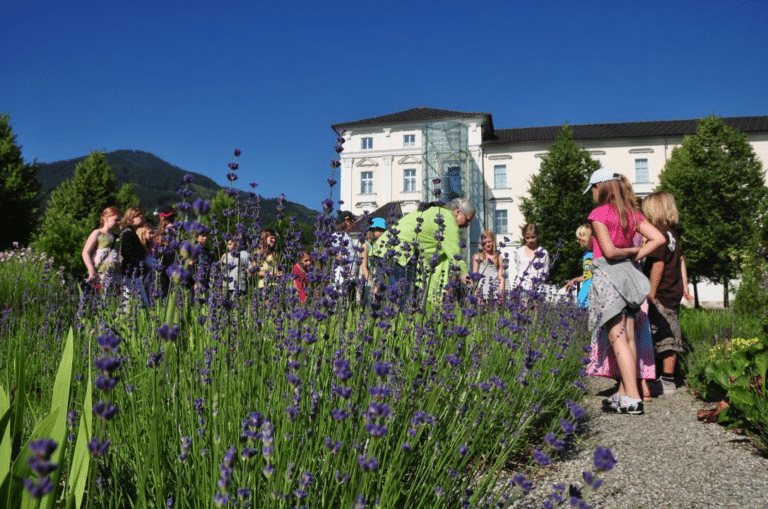 Giardino delle erbe 2021