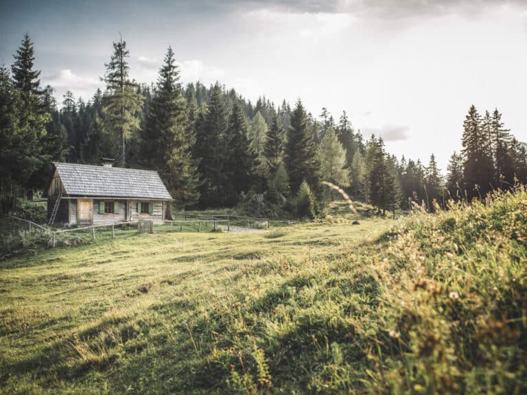 Chaty c Park Narodowy Stefana Leitnera Gesaeuse00002 e1648799891606