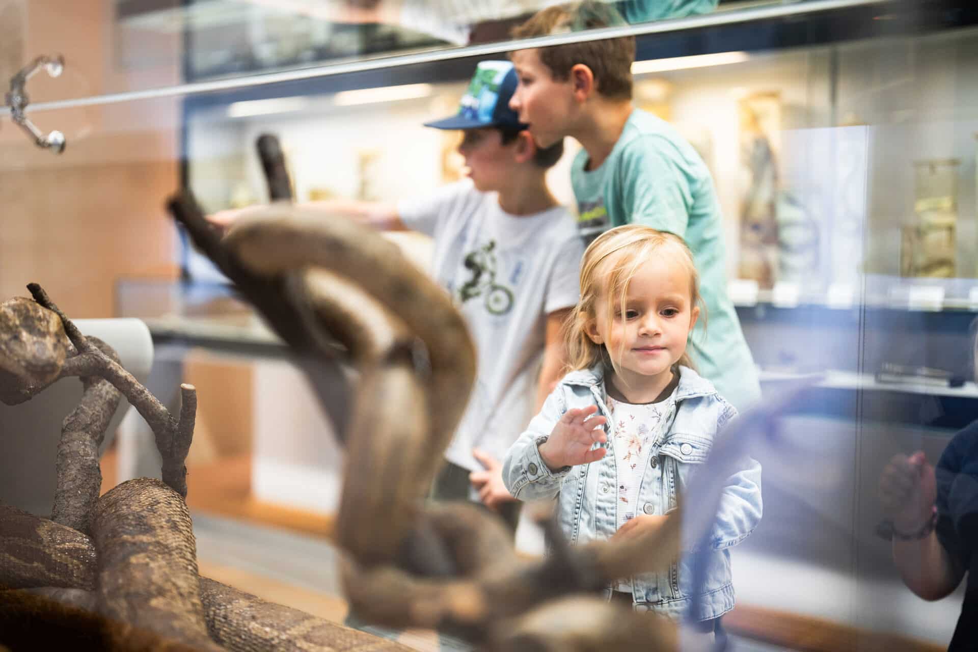 Museo y Biblioteca de la Abadía de Admont - Niños en el Museo de Historia Natural con reptiles © Thomas Sattler