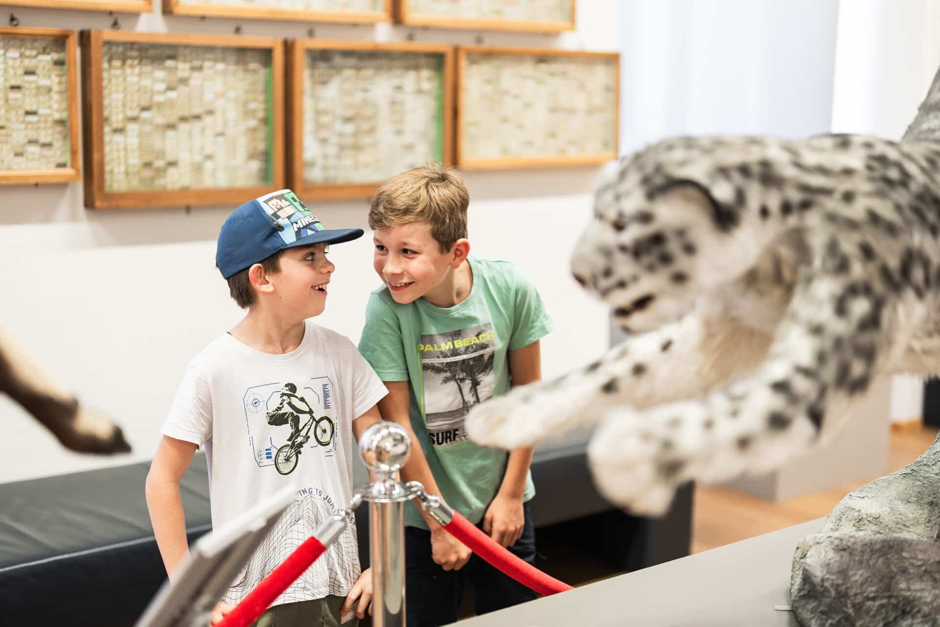 Museo y Biblioteca de la Abadía de Admont - Niños en el Museo de Historia Natural © Thomas Sattler
