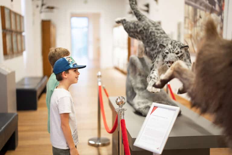 Museo de la Abadía de Admont - Los niños observan animales disecados en el Museo de Historia Natural © Thomas Sattler