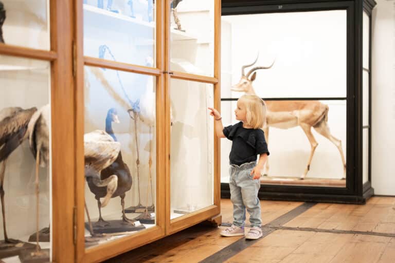 Museo de la Abadía de Admont - Un niño mira el Museo de Historia Natural © Thomas Sattler