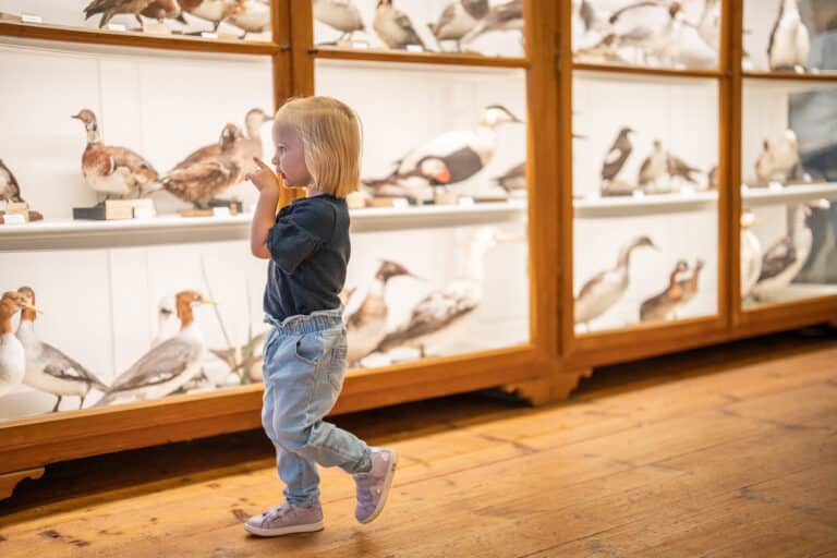 Muzeum Dziecięce c Thomas Sattler 47 www