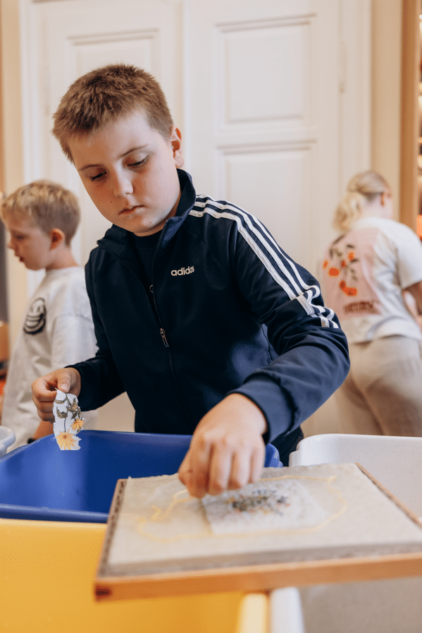 Laboratorio del museo