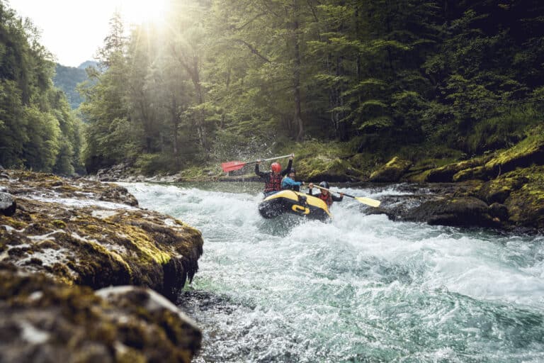 Parki narodowe Austria Gesa╠euse┬®StefanLeitner 013 e1648796455599