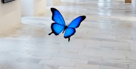Motyl, sztuczna inteligencja, wideo, zdjęcie