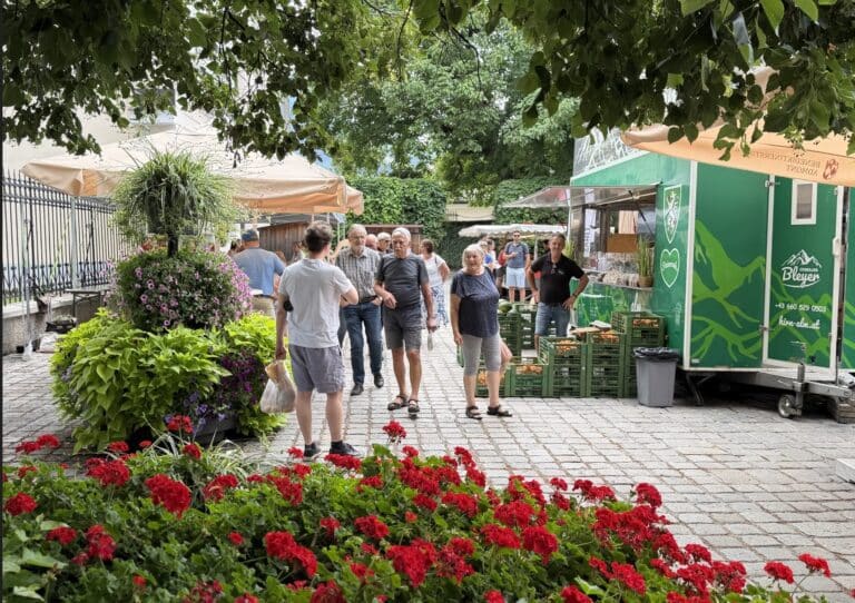 Mercado de especialidades de agosto en la web