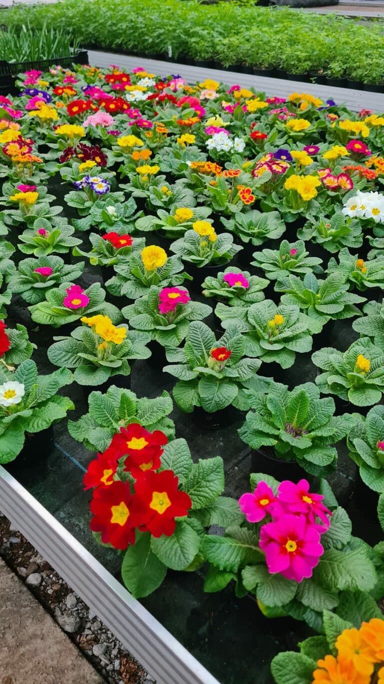 Przedszkole Stiftsgärtnerei (c) Yvonne Stecher 1