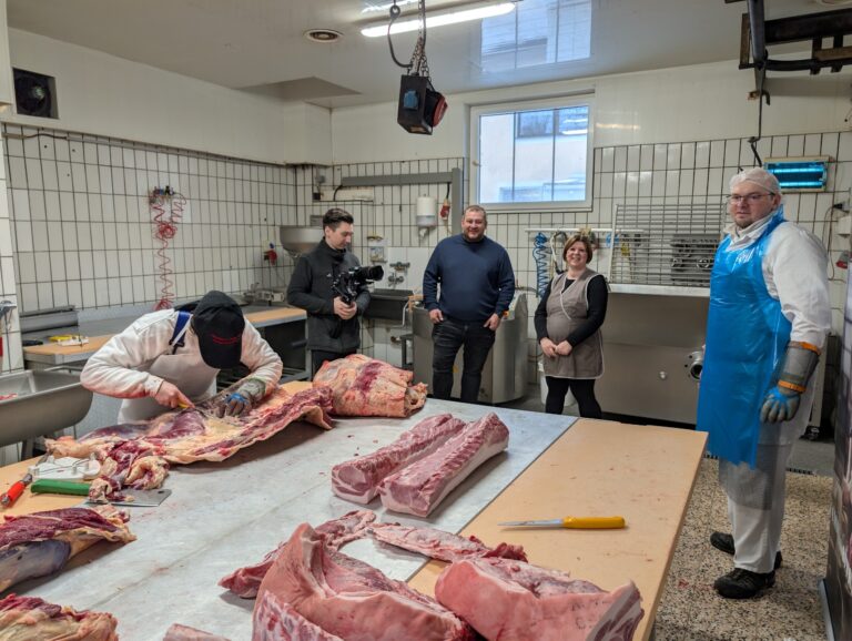 Ulli kuha Pfeiler Gesaeuse