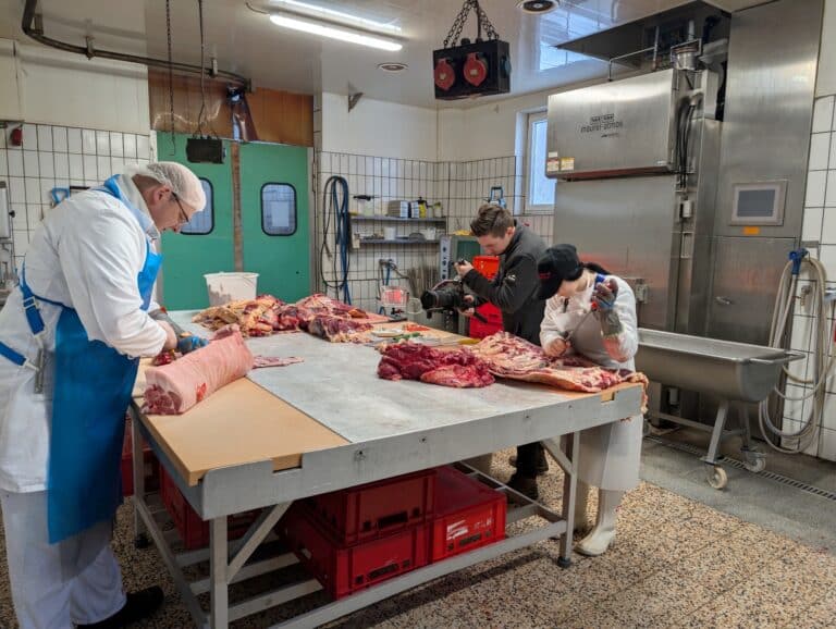 Ulli kuha Pfeiler Gesaeuse