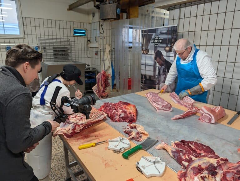 Ulli kuha Pfeiler Gesaeuse