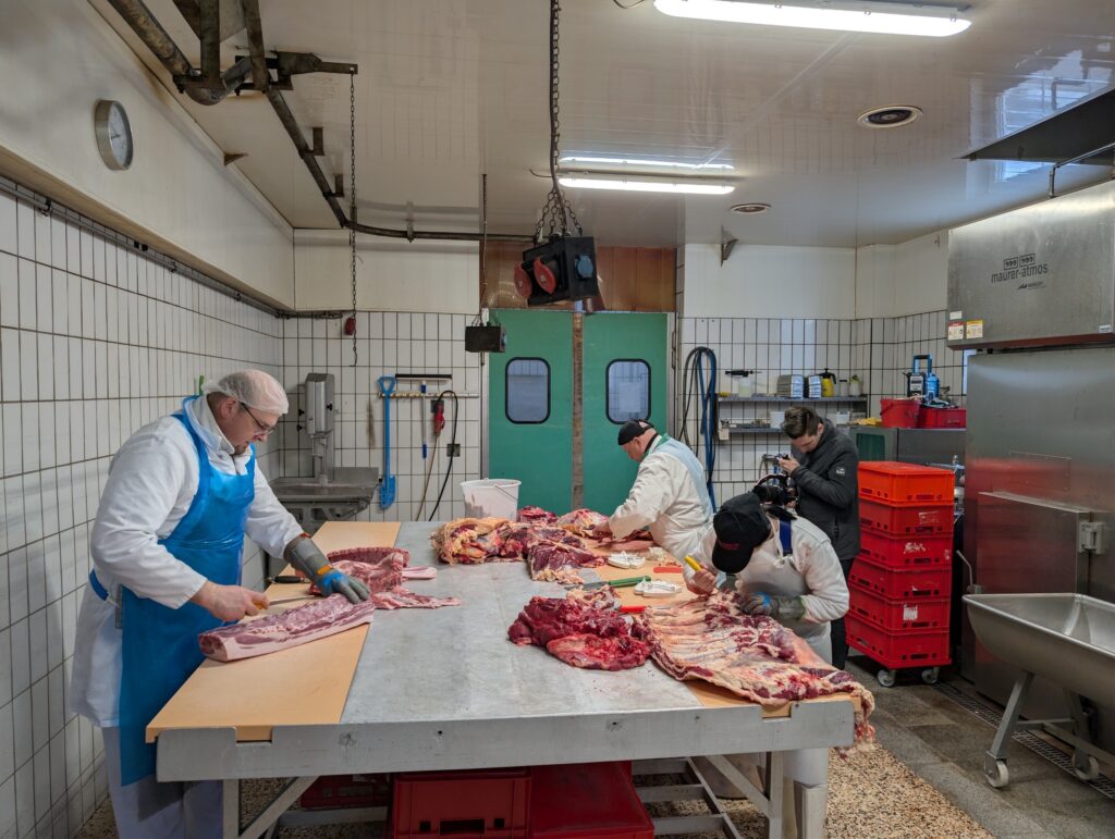 Ulli kuha Pfeiler Gesaeuse