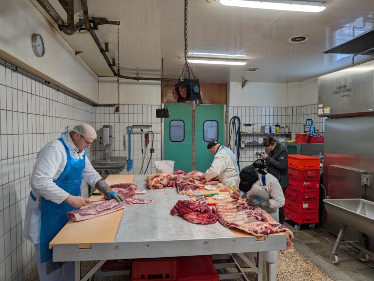 Ulli kuha Pfeiler Gesaeuse